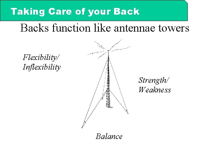 Taking Care of your Backs function like antennae towers Flexibility/ Inflexibility Strength/ Weakness Balance