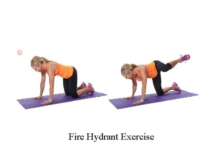 Fire Hydrant Exercise 