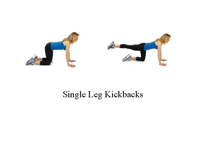 Single Leg Kickbacks 