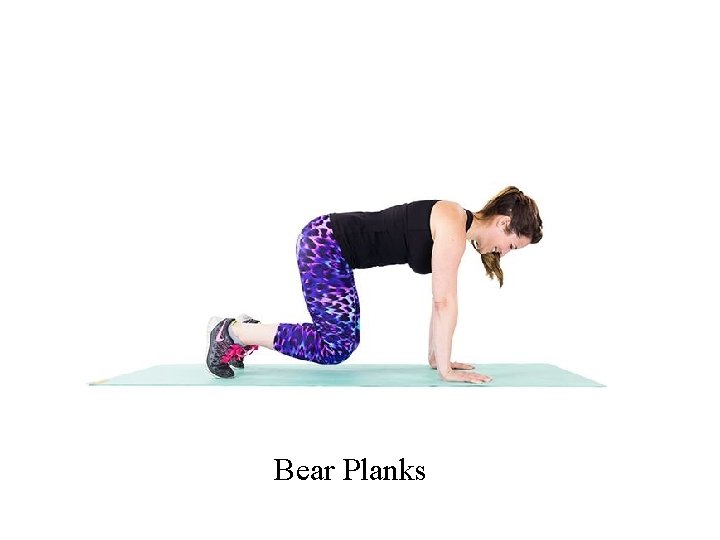 Bear Planks 