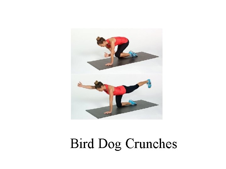 Bird Dog Crunches 