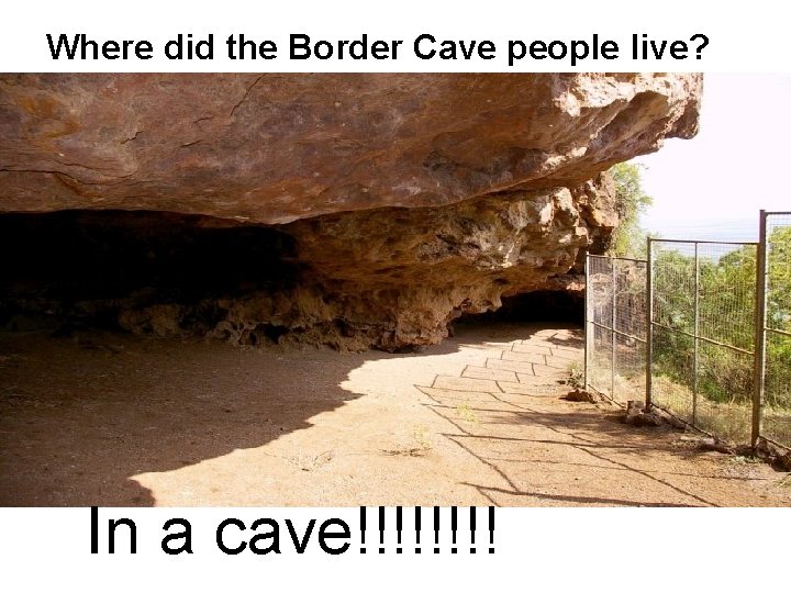 Where did the Border Cave people live? In a cave!!!! 