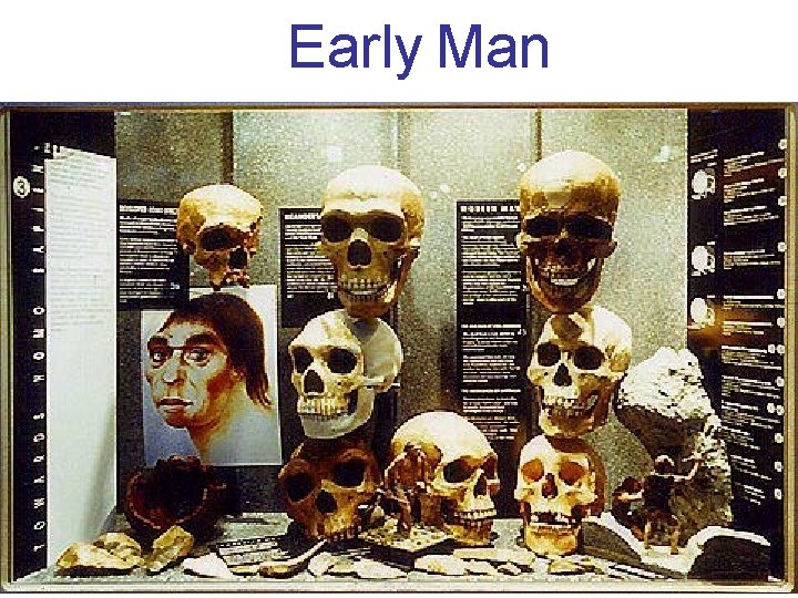  Early Man 