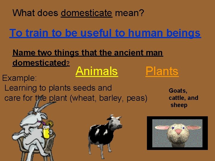 What does domesticate mean? To train to be useful to human beings Name two