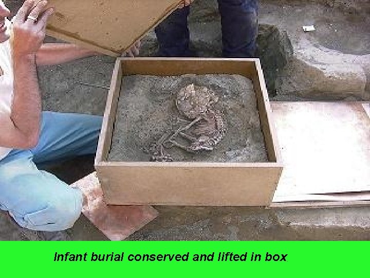Infant burial conserved and lifted in box , 