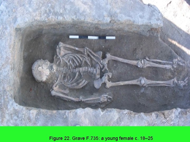 Figure 22. Grave F. 735: a young female c. 18– 25 