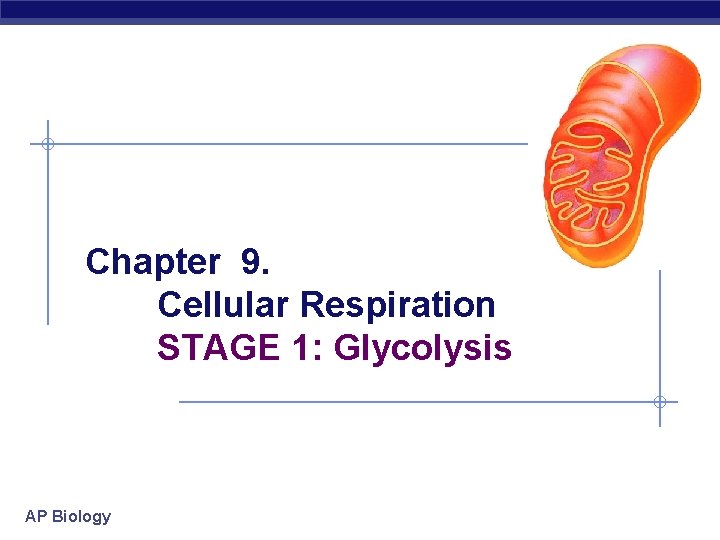 Chapter 9. Cellular Respiration STAGE 1: Glycolysis AP Biology 