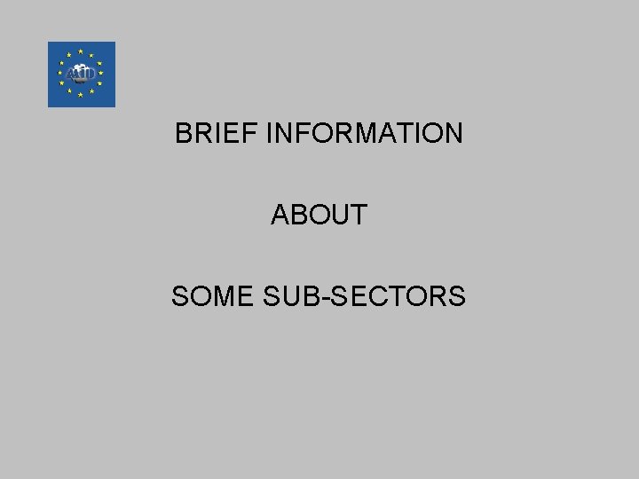 BRIEF INFORMATION ABOUT SOME SUB-SECTORS 