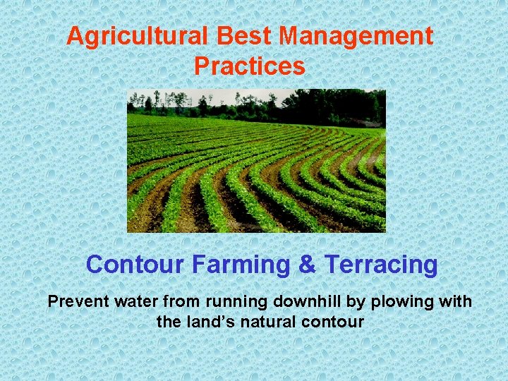 Agricultural Best Management Practices For Protecting Water Quality