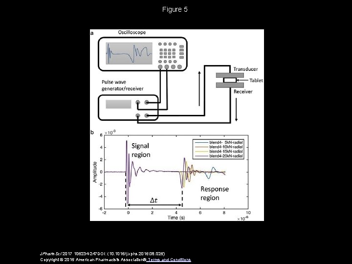 Figure 5 JPharm. Sci 2017 106234 -247 DOI: (10. 1016/j. xphs. 2016. 08. 026)