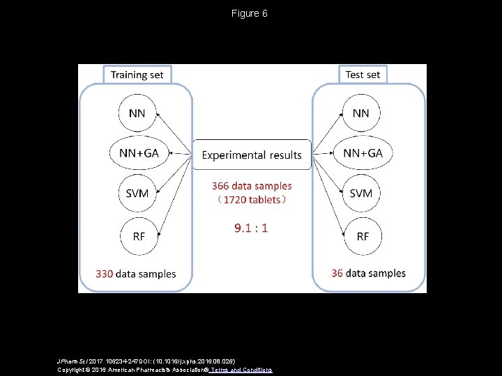 Figure 6 JPharm. Sci 2017 106234 -247 DOI: (10. 1016/j. xphs. 2016. 08. 026)