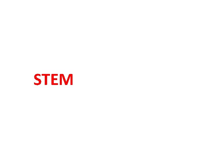 STEM 