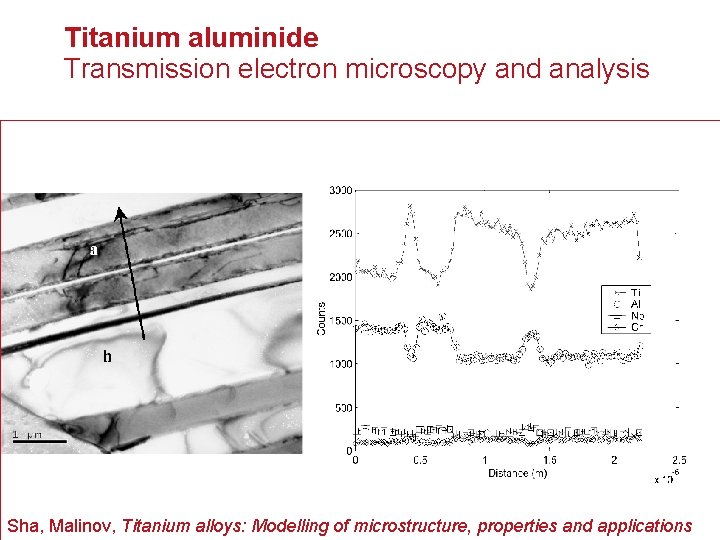 Titanium aluminide Transmission electron microscopy and analysis Sha, Malinov, Titanium alloys: Modelling of microstructure,