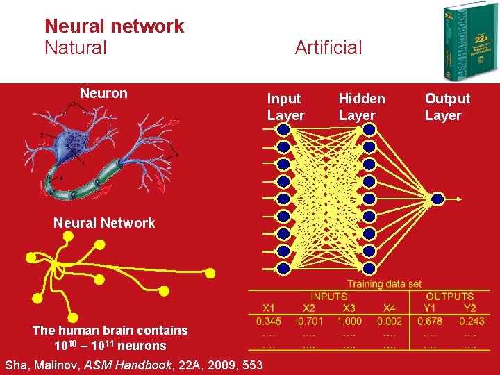 Neural network Natural Neuron Neural Network The human brain contains 1010 – 1011 neurons