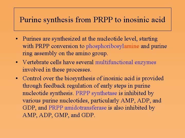 Purine synthesis from PRPP to inosinic acid • Purines are synthesized at the nucleotide