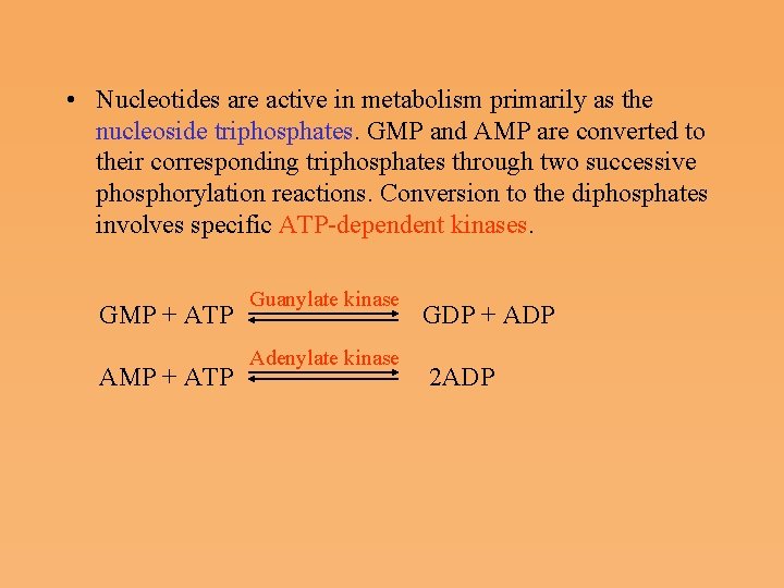  • Nucleotides are active in metabolism primarily as the nucleoside triphosphates. GMP and