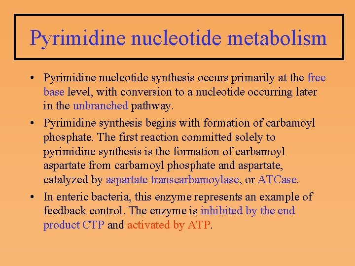 Pyrimidine nucleotide metabolism • Pyrimidine nucleotide synthesis occurs primarily at the free base level,