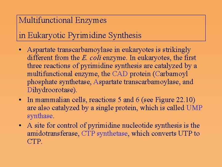 Multifunctional Enzymes in Eukaryotic Pyrimidine Synthesis • Aspartate transcarbamoylase in eukaryotes is strikingly different