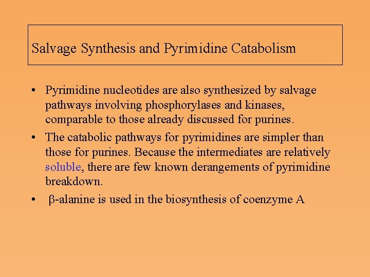 Salvage Synthesis and Pyrimidine Catabolism • Pyrimidine nucleotides are also synthesized by salvage pathways