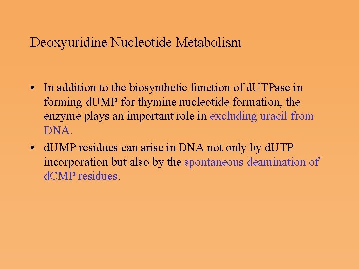 Deoxyuridine Nucleotide Metabolism • In addition to the biosynthetic function of d. UTPase in