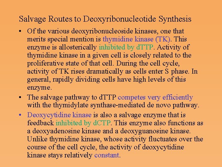 Salvage Routes to Deoxyribonucleotide Synthesis • Of the various deoxyribonucleoside kinases, one that merits