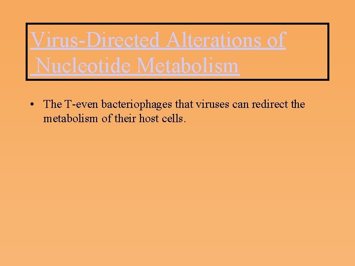 Virus Directed Alterations of Nucleotide Metabolism • The T even bacteriophages that viruses can