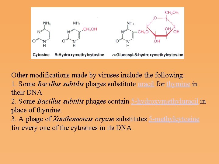 Other modifications made by viruses include the following: 1. Some Bacillus subtilis phages substitute
