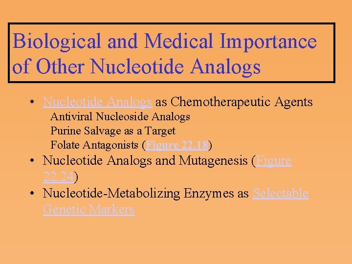 Biological and Medical Importance of Other Nucleotide Analogs • Nucleotide Analogs as Chemotherapeutic Agents
