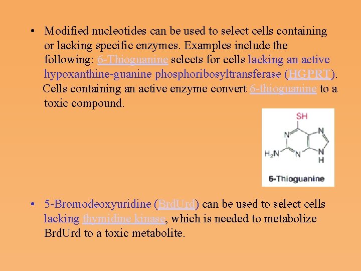  • Modified nucleotides can be used to select cells containing or lacking specific