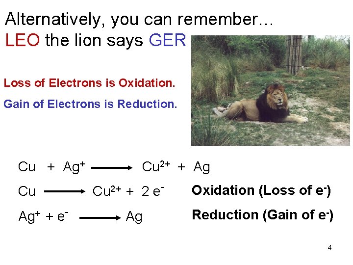 Alternatively, you can remember… LEO the lion says GER Loss of Electrons is Oxidation.