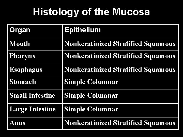 Histology of the Mucosa Organ Epithelium Mouth Nonkeratinized Stratified Squamous Pharynx Nonkeratinized Stratified Squamous