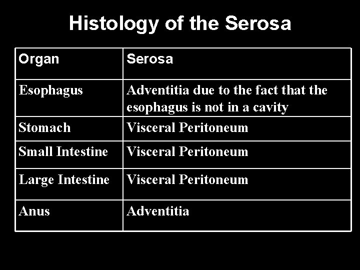 Histology of the Serosa Organ Serosa Esophagus Stomach Adventitia due to the fact that