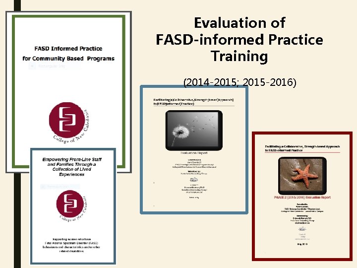 Evaluation of FASD-informed Practice Training (2014 -2015; 2015 -2016) 