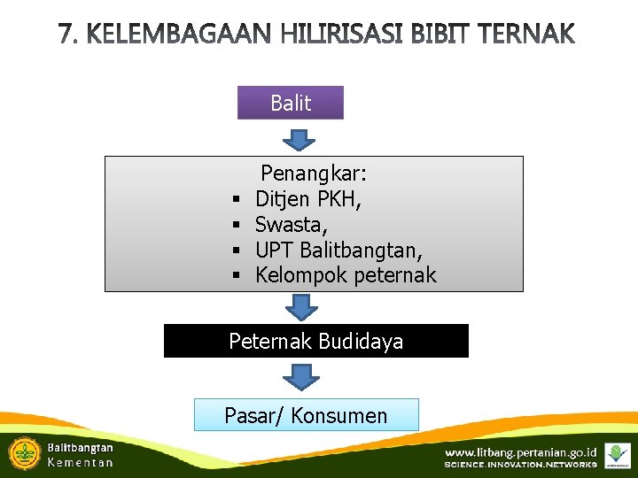 Balit § § Penangkar: Ditjen PKH, Swasta, UPT Balitbangtan, Kelompok peternak Peternak Budidaya Pasar/