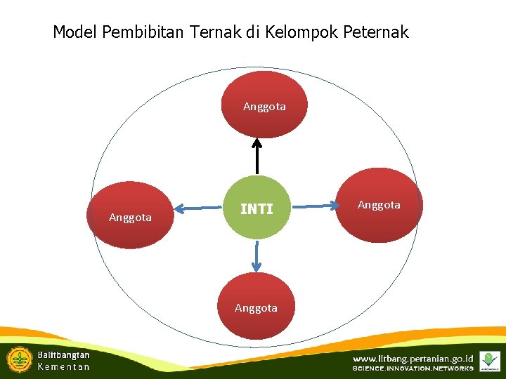 Model Pembibitan Ternak di Kelompok Peternak Anggota INTI Anggota 