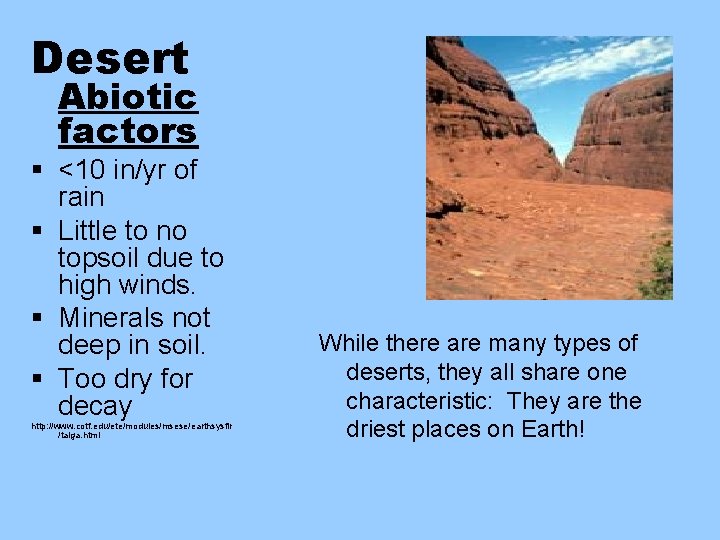 Desert Abiotic factors § <10 in/yr of rain § Little to no topsoil due
