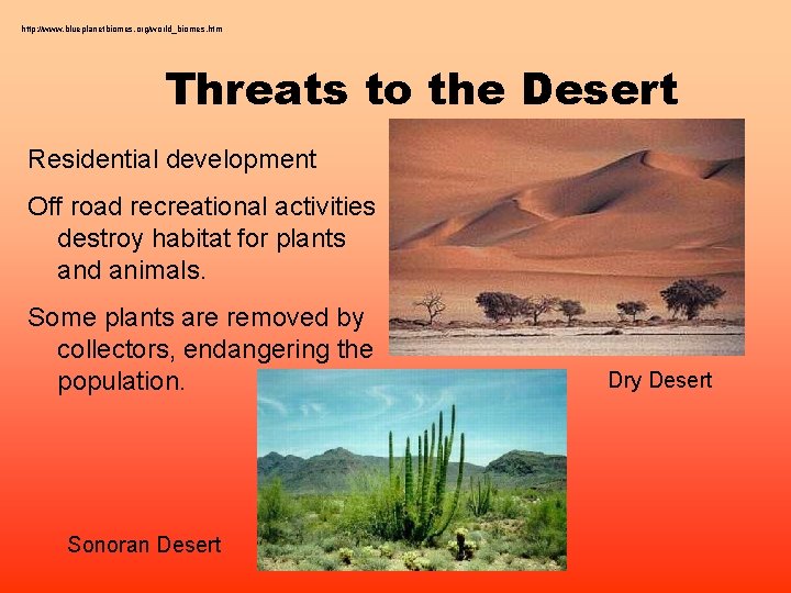 http: //www. blueplanetbiomes. org/world_biomes. htm Threats to the Desert Residential development Off road recreational