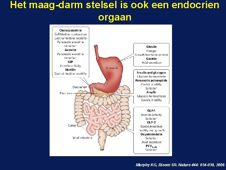 Het maag-darm stelsel is ook een endocrien orgaan Murphy KG, Bloom SR. Nature 444: