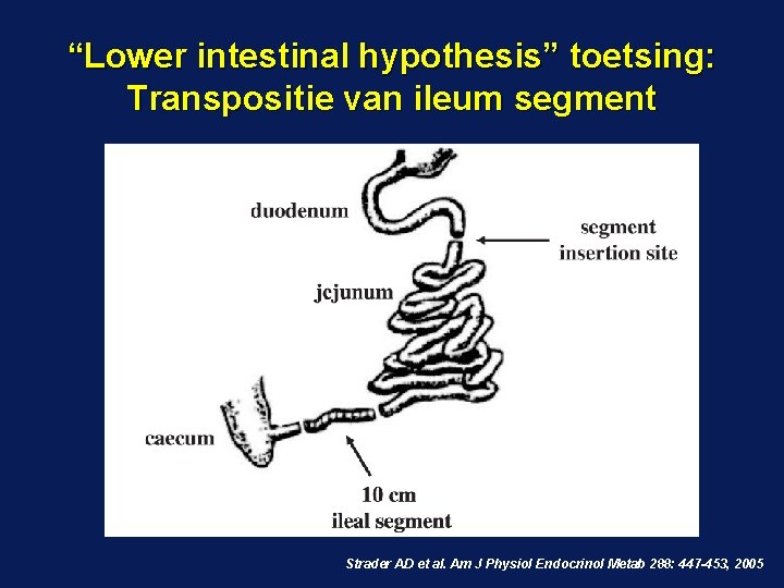 “Lower intestinal hypothesis” toetsing: Transpositie van ileum segment Strader AD et al. Am J