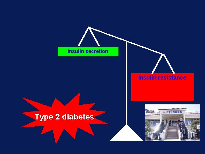 Insulin secretion Insulin resistance Type 2 diabetes 