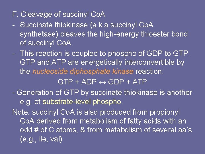 F. Cleavage of succinyl Co. A - Succinate thiokinase (a. k. a succinyl Co.