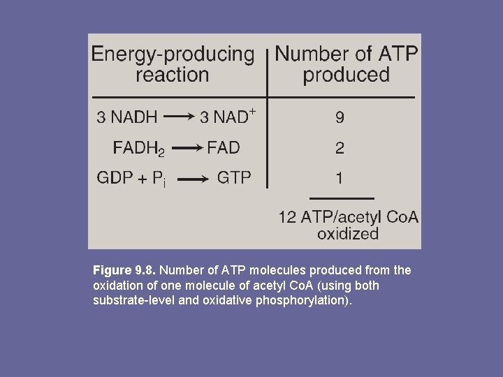 Figure 9. 8. Number of ATP molecules produced from the oxidation of one molecule