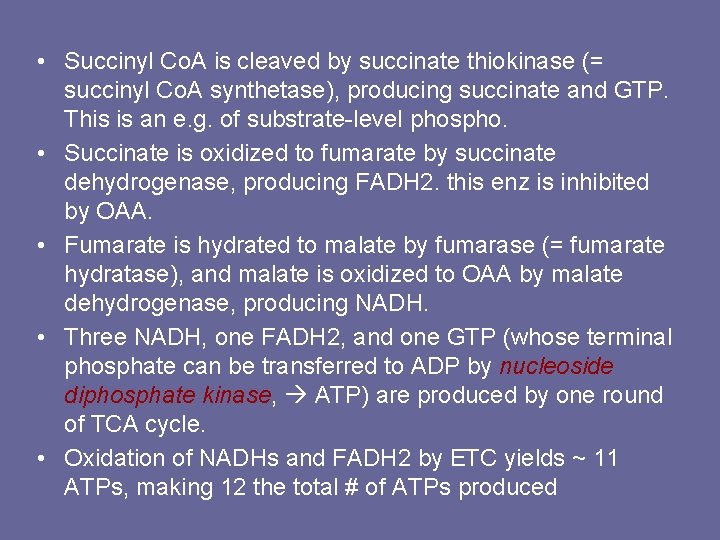  • Succinyl Co. A is cleaved by succinate thiokinase (= succinyl Co. A