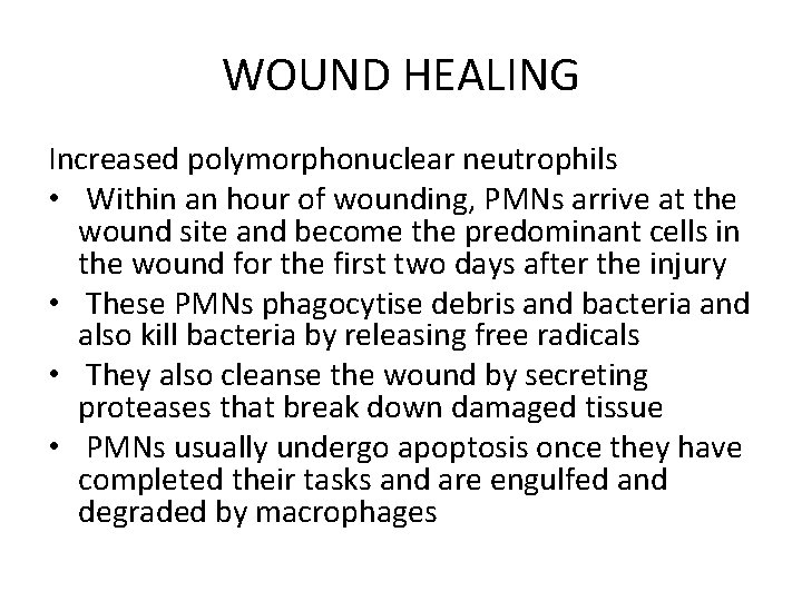 WOUND HEALING Increased polymorphonuclear neutrophils • Within an hour of wounding, PMNs arrive at