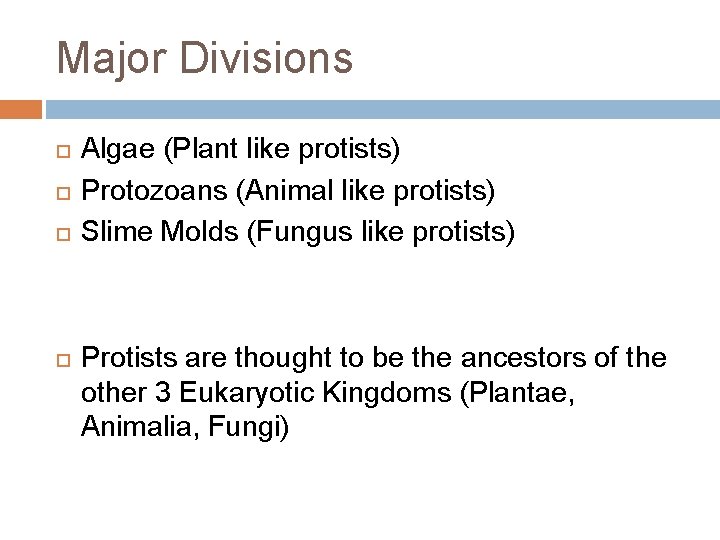 Major Divisions Algae (Plant like protists) Protozoans (Animal like protists) Slime Molds (Fungus like