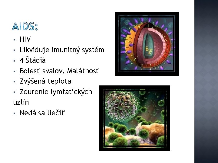 HIV § Likviduje imunitný systém § 4 Štádiá § Bolesť svalov, Malátnosť § Zvýšená