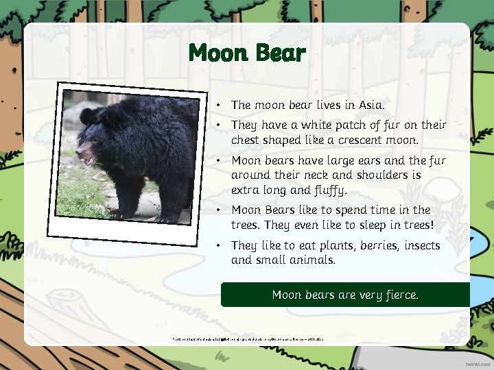 Moon Bear • The moon bear lives in Asia. • They have a white