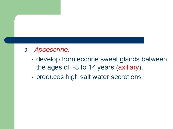 3. Apoeccrine: • develop from eccrine sweat glands between the ages of ~8 to