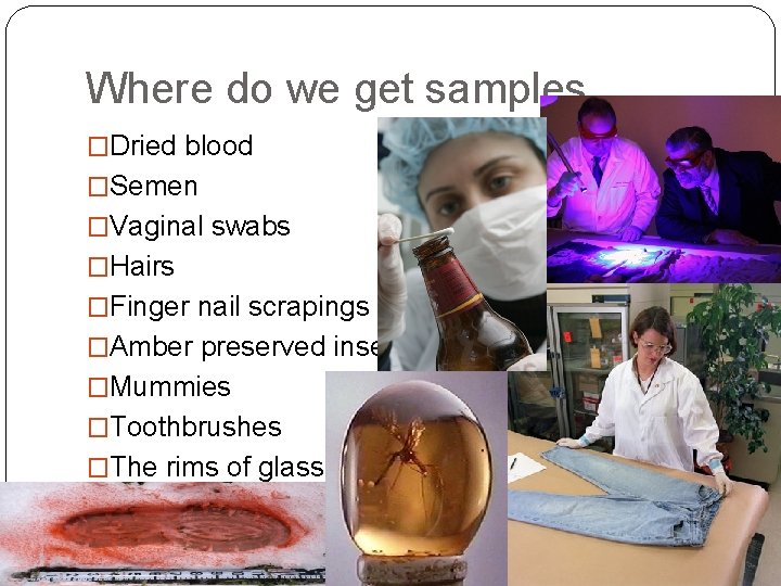 Where do we get samples �Dried blood �Semen �Vaginal swabs �Hairs �Finger nail scrapings