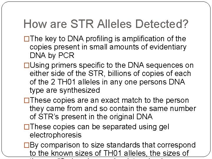 How are STR Alleles Detected? �The key to DNA profiling is amplification of the